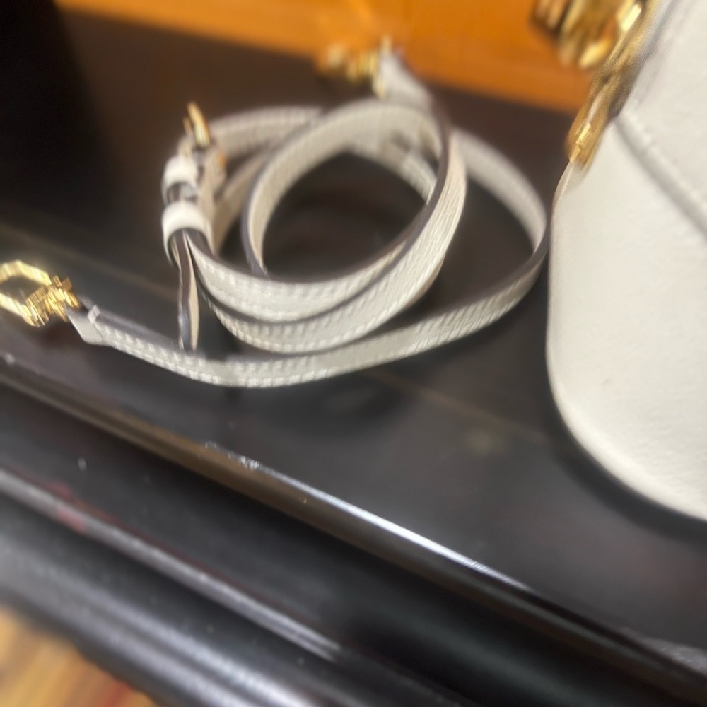 Louis Vuitton Alma PM SILHOUETTE NEW with tags Ready for spring ❌❌❌SOLD PARTY - Picture 11 of 13